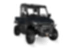 Miniaturbild: Hisun Freelander EV