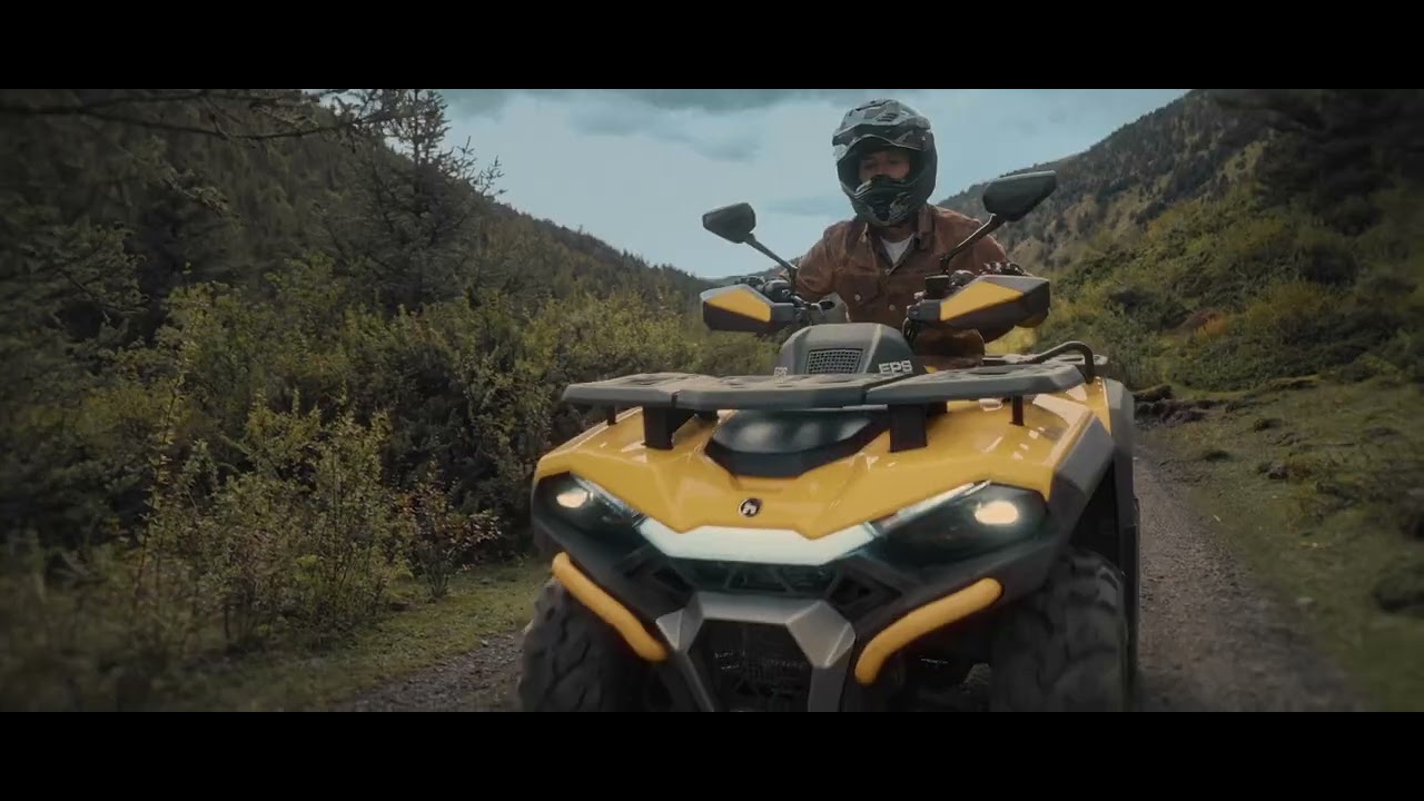 Hisun ATV 2025