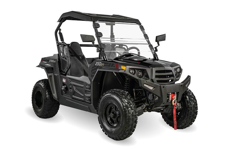 Hisun Strike 250