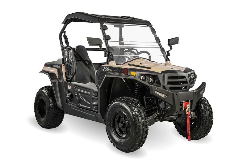 Hisun Strike 250